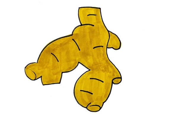 生姜簡(jiǎn)筆畫_生姜簡(jiǎn)筆畫帶顏色簡(jiǎn)單步驟圖片