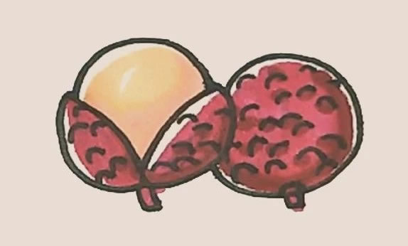 荔枝簡(jiǎn)筆畫 荔枝簡(jiǎn)筆畫圖片