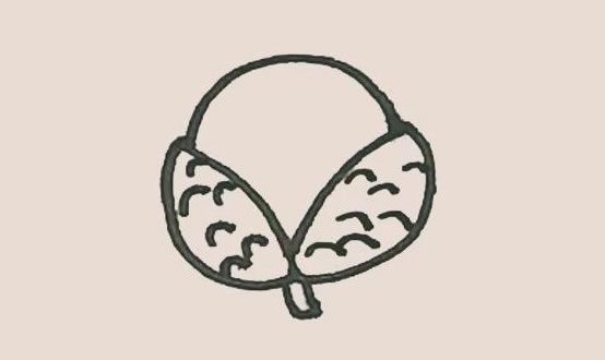 荔枝簡(jiǎn)筆畫 荔枝簡(jiǎn)筆畫圖片