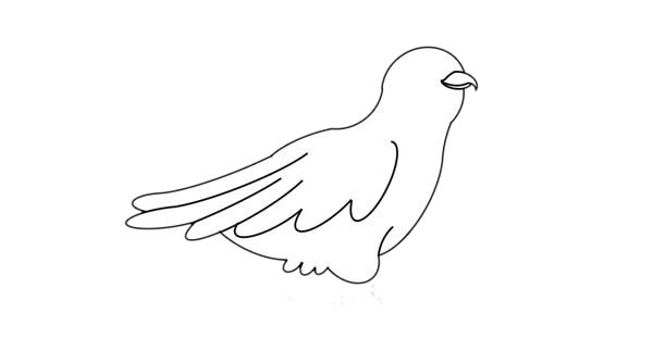 杜鵑鳥簡(jiǎn)筆畫 杜鵑鳥簡(jiǎn)筆畫畫法步驟圖片