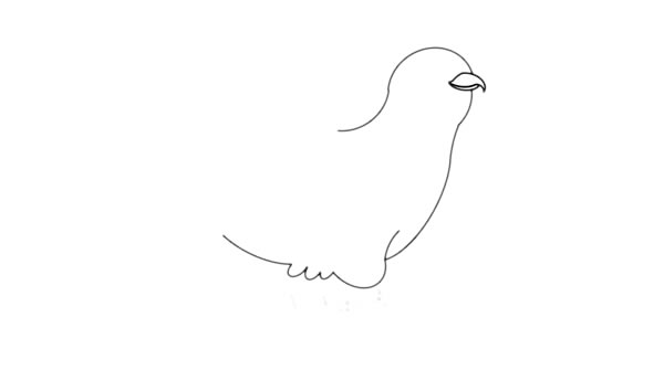 杜鵑鳥簡(jiǎn)筆畫 杜鵑鳥簡(jiǎn)筆畫畫法步驟圖片