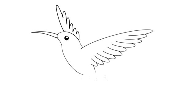 蜂鳥(niǎo)簡(jiǎn)筆畫(huà) 漂亮的蜂鳥(niǎo)簡(jiǎn)筆畫(huà)畫(huà)法步驟圖片