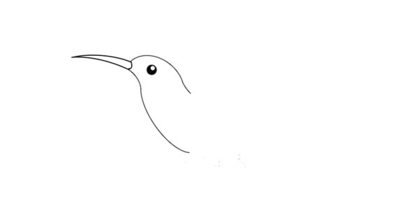 蜂鳥(niǎo)簡(jiǎn)筆畫(huà) 漂亮的蜂鳥(niǎo)簡(jiǎn)筆畫(huà)畫(huà)法步驟圖片