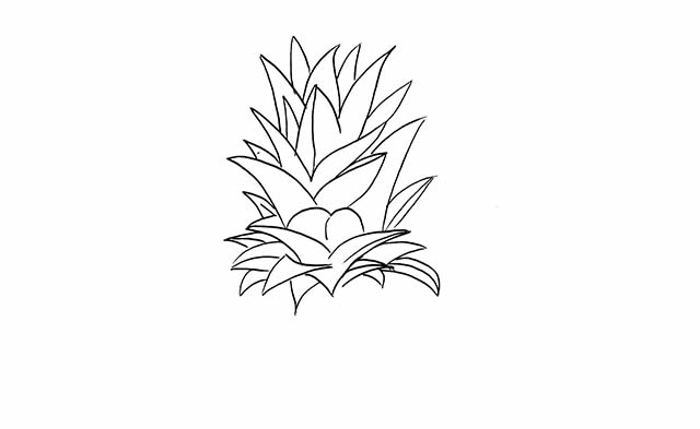 菠蘿簡筆畫 菠蘿簡筆畫畫法步驟圖片