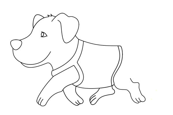 導(dǎo)盲犬簡(jiǎn)筆畫怎么畫簡(jiǎn)單又好看