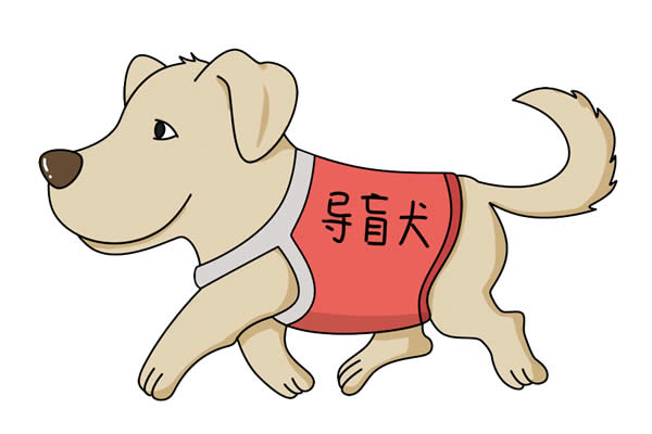 導(dǎo)盲犬簡(jiǎn)筆畫怎么畫簡(jiǎn)單又好看