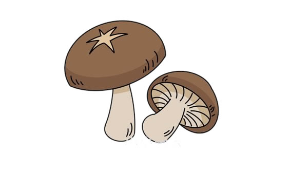 香菇簡(jiǎn)筆畫(huà)