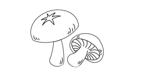 香菇簡(jiǎn)筆畫(huà)畫(huà)法步驟圖片