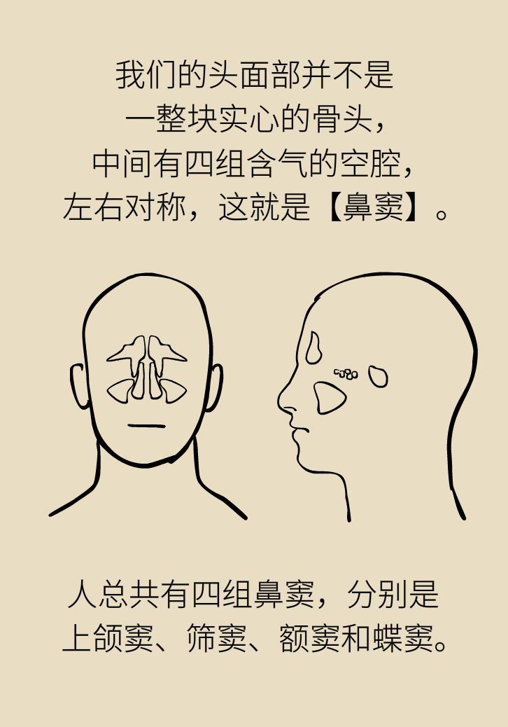 為什么鼻竇發(fā)炎，疼的卻是頭、眼和牙？