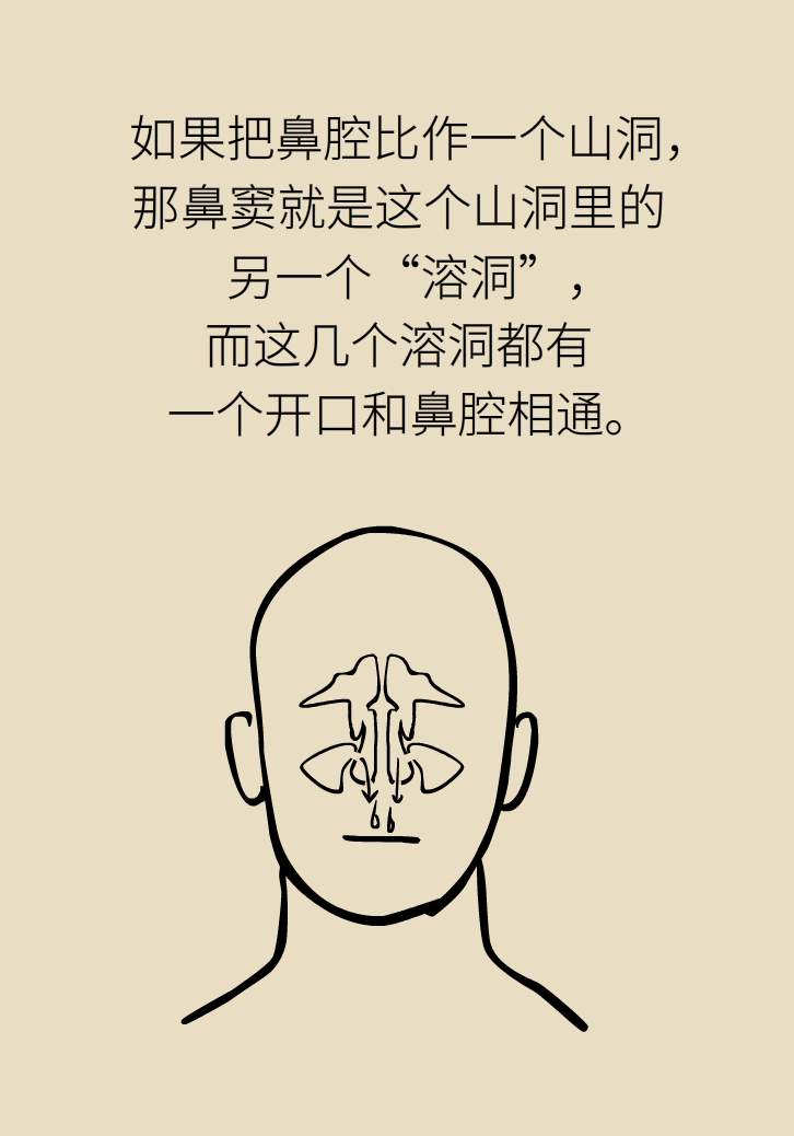 為什么鼻竇發(fā)炎，疼的卻是頭、眼和牙？