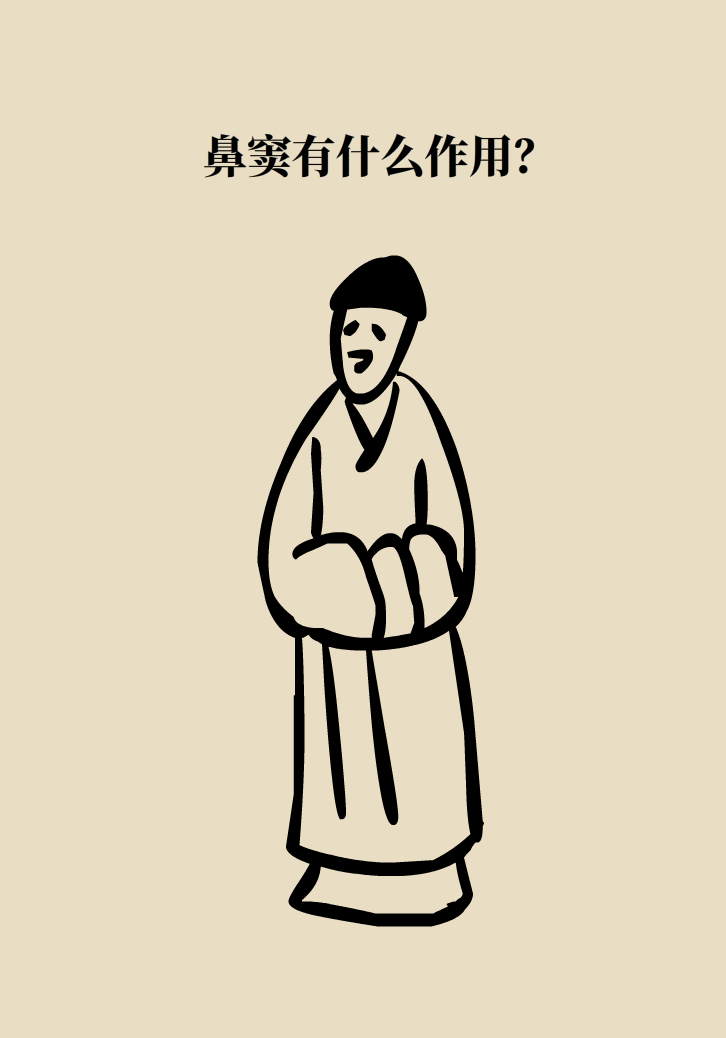 為什么鼻竇發(fā)炎，疼的卻是頭、眼和牙？