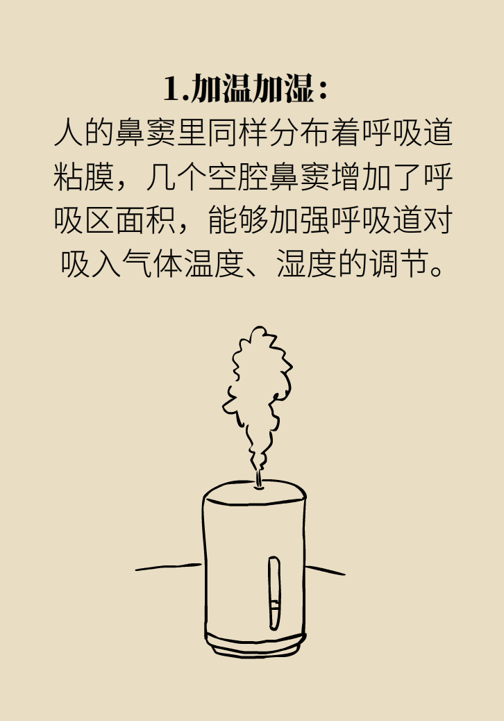 為什么鼻竇發(fā)炎，疼的卻是頭、眼和牙？