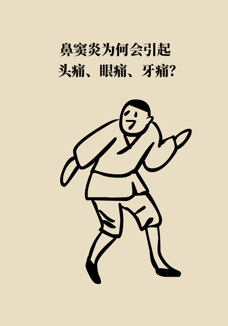 為什么鼻竇發(fā)炎，疼的卻是頭、眼和牙？