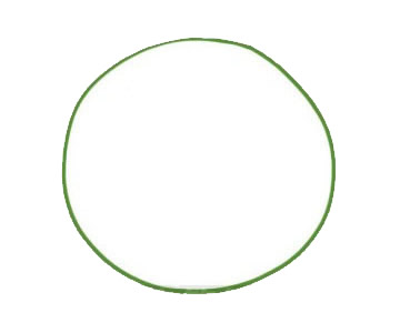毛毛蟲(chóng)簡(jiǎn)筆畫(huà)圖片