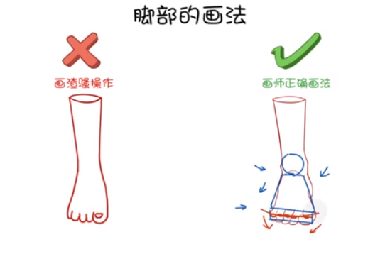 中間的這條線(xiàn)是用來(lái)確定腳趾關(guān)節(jié)的.png
