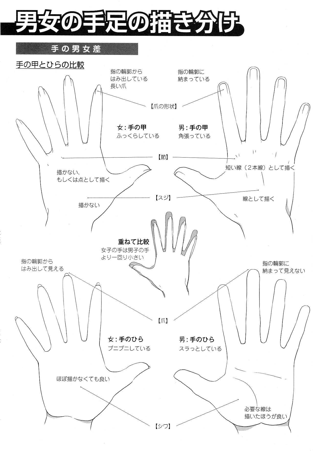男女比例的差別怎么畫(huà)？