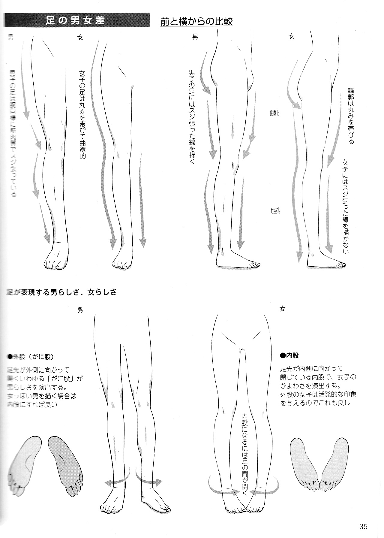 男女比例的差別怎么畫(huà)？