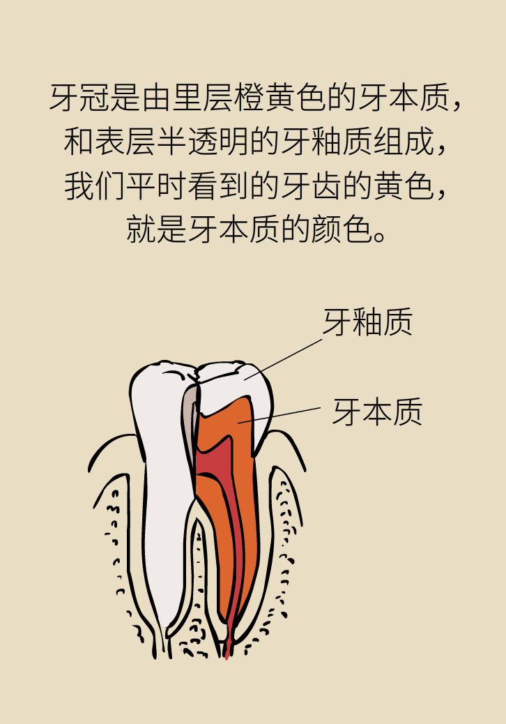 牙太黃，這些“美白”方法管用嗎？