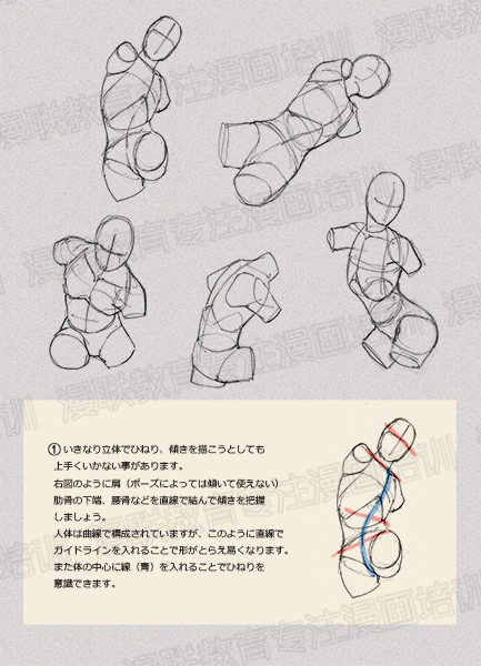 零基礎(chǔ)學(xué)繪畫教程！如何正確掌握繪畫人體結(jié)構(gòu)？