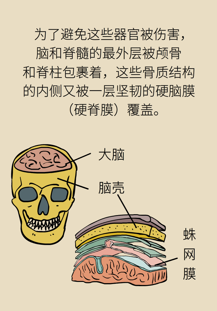 練瑜伽把腦脊液拉漏了！常見(jiàn)的“瑜伽病”你知道多少