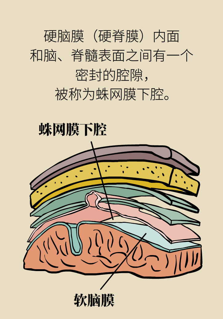 練瑜伽把腦脊液拉漏了！常見(jiàn)的“瑜伽病”你知道多少