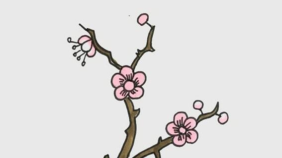梅花怎么畫？
