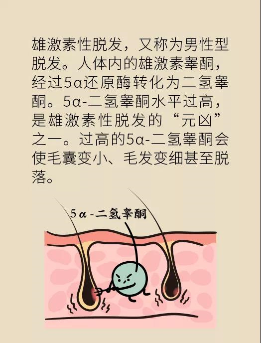 頭發(fā)一把一把地掉？搞明白根源才能對(duì)癥下藥