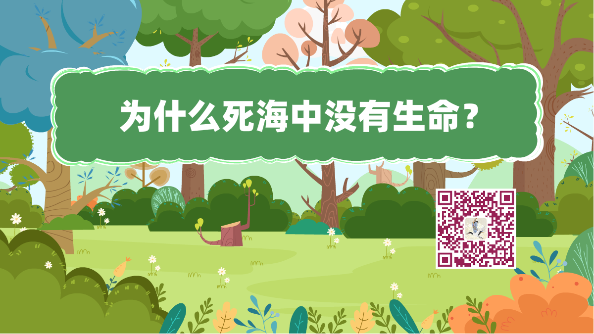 十萬(wàn)個(gè)為什么標(biāo)題(死海無(wú)生命)1200.png 十萬(wàn)個(gè)為什么標(biāo)題(死海無(wú)生命)1200.png