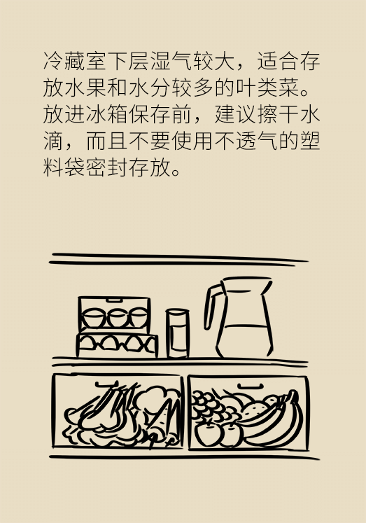 冰箱竟成了細(xì)菌的溫床？專家：正確使用是關(guān)鍵