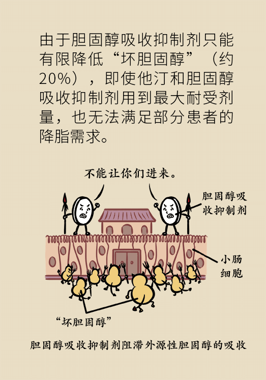 心梗動(dòng)漫科普：血脂都正常就萬(wàn)事大吉了嗎？