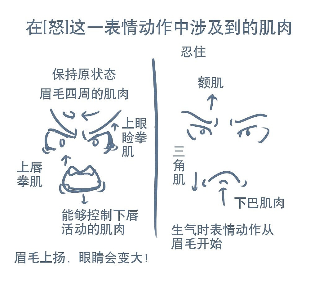 「動漫設(shè)計」人物表情大集合之【怒】發(fā)沖冠 「動漫設(shè)計」人物表情大集合之【怒】發(fā)沖冠