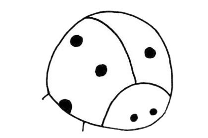 瓢蟲(chóng)簡(jiǎn)筆畫(huà)圖片