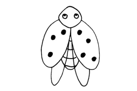 瓢蟲(chóng)簡(jiǎn)筆畫(huà)圖片