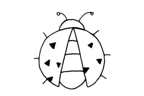 瓢蟲(chóng)簡(jiǎn)筆畫(huà)圖片