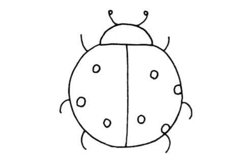 瓢蟲(chóng)簡(jiǎn)筆畫(huà)圖片