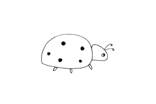 瓢蟲(chóng)簡(jiǎn)筆畫(huà)圖片
