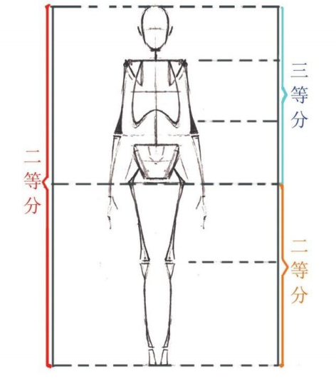 「動(dòng)漫設(shè)計(jì)教程」人體繪畫(huà)基礎(chǔ) part 01 認(rèn)識(shí)骨骼(1) 「動(dòng)漫設(shè)計(jì)教程」人體繪畫(huà)基礎(chǔ) part 01 認(rèn)識(shí)骨骼(1)