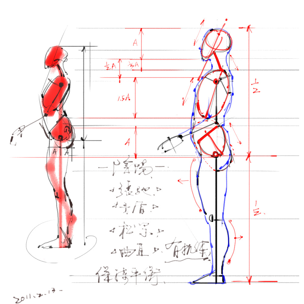 「動漫設(shè)計」分享一波繪畫專用人體解剖素材 part 01 「動漫設(shè)計」分享一波繪畫專用人體解剖素材 part 01