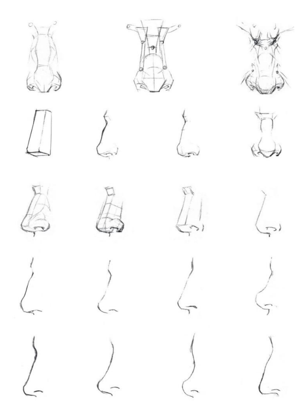 「動(dòng)漫設(shè)計(jì)」人體繪畫基礎(chǔ) part 02 認(rèn)識(shí)肌肉(1) 「動(dòng)漫設(shè)計(jì)」人體繪畫基礎(chǔ) part 02 認(rèn)識(shí)肌肉(1)