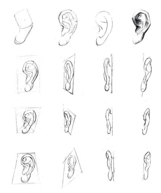 「動(dòng)漫設(shè)計(jì)」人體繪畫基礎(chǔ) part 02 認(rèn)識(shí)肌肉(1) 「動(dòng)漫設(shè)計(jì)」人體繪畫基礎(chǔ) part 02 認(rèn)識(shí)肌肉(1)