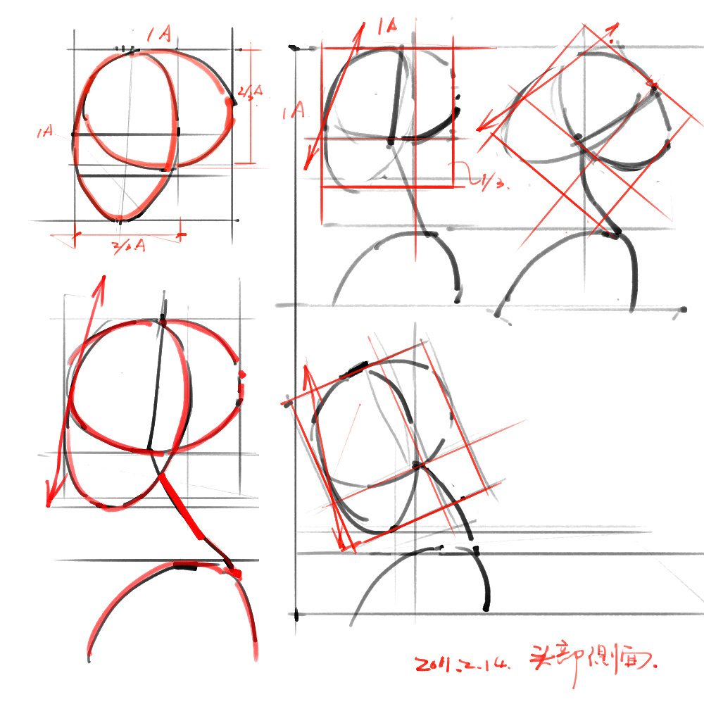 「動(dòng)漫設(shè)計(jì)」分享一波繪畫專用人體解剖素材 part 02 「動(dòng)漫設(shè)計(jì)」分享一波繪畫專用人體解剖素材 part 02