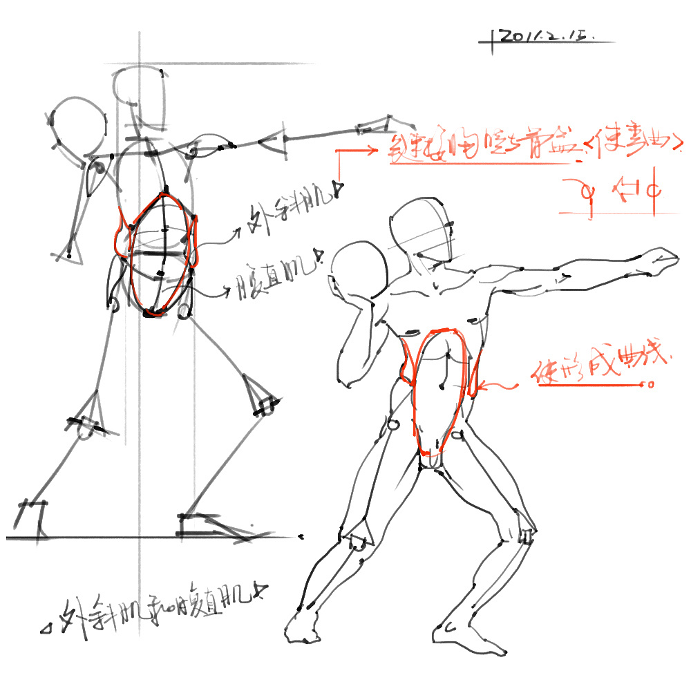 「動(dòng)漫設(shè)計(jì)」分享一波繪畫專用人體解剖素材 part 02 「動(dòng)漫設(shè)計(jì)」分享一波繪畫專用人體解剖素材 part 02
