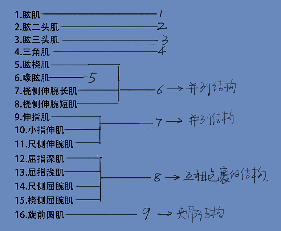 「動(dòng)漫設(shè)計(jì)」分享一波繪畫專用人體解剖素材 part 07 「動(dòng)漫設(shè)計(jì)」分享一波繪畫專用人體解剖素材 part 07