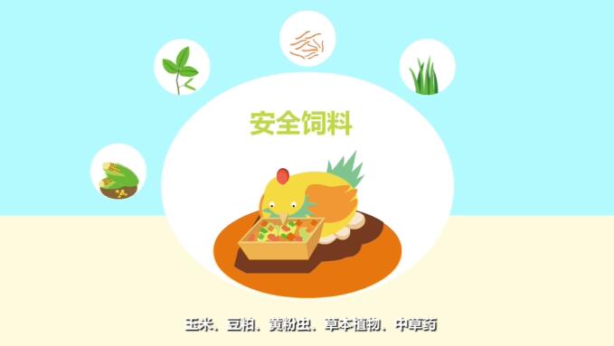 安全雞吃的是安全飼料.jpg 安全雞吃的是安全飼料.jpg