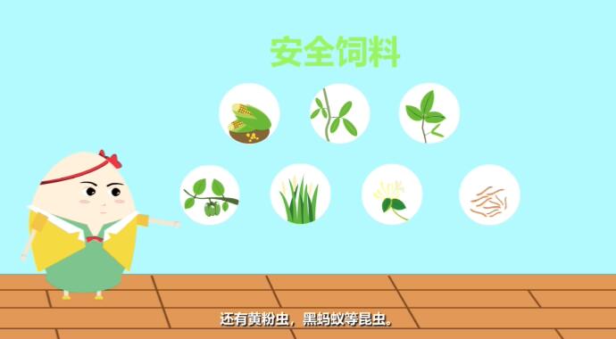 楚福園安全雞飼料.jpg 楚福園安全雞飼料.jpg