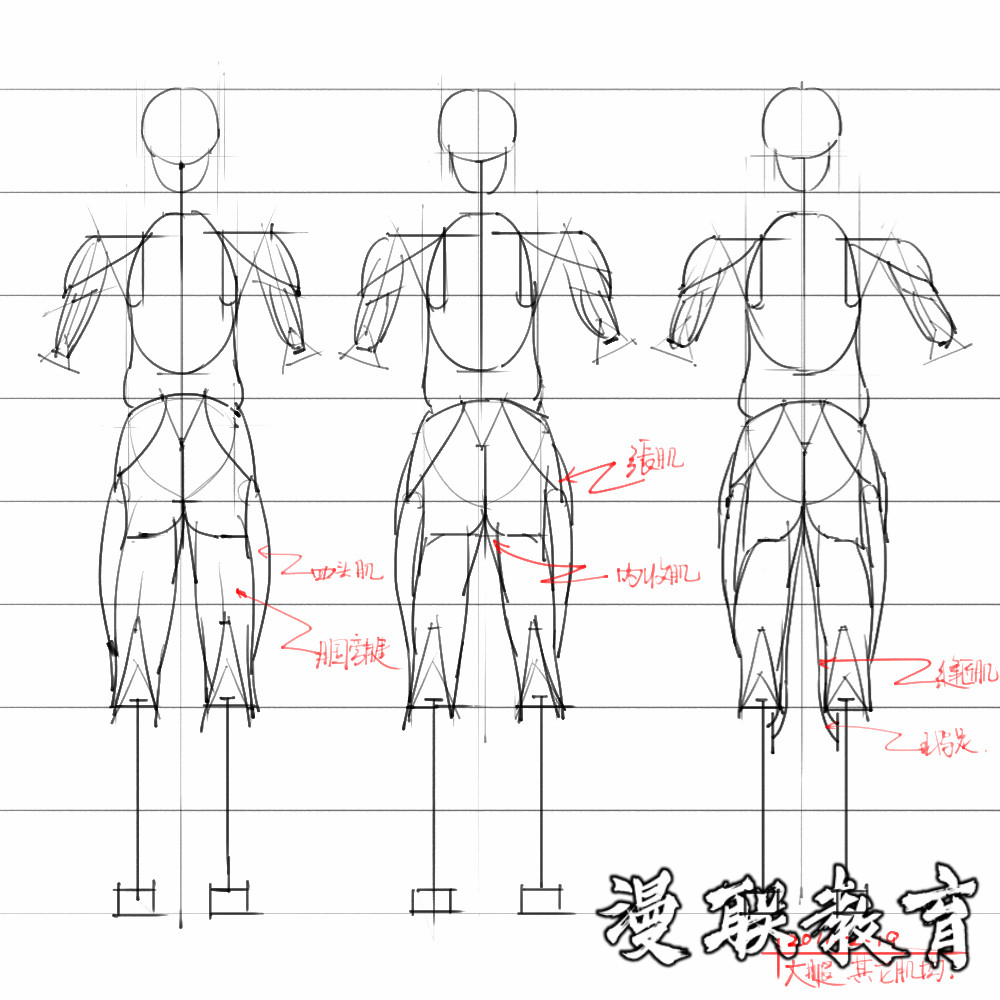 「動漫設(shè)計素材」分享一波繪畫專用人體解剖素材 part 08 「動漫設(shè)計素材」分享一波繪畫專用人體解剖素材 part 08