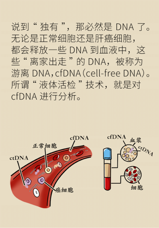 論發(fā)現(xiàn)早期肝癌的本事，cfDNA比AFP更精準，比影像學更早一步