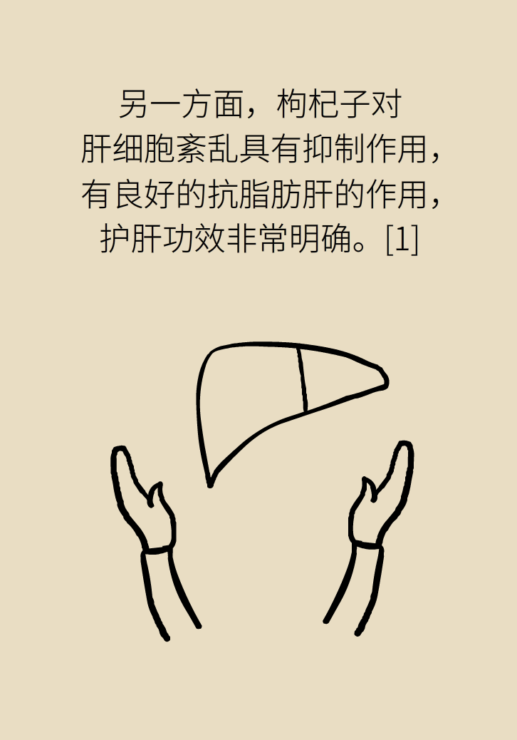 成天喝著枸杞茶，它真的適合你嗎？