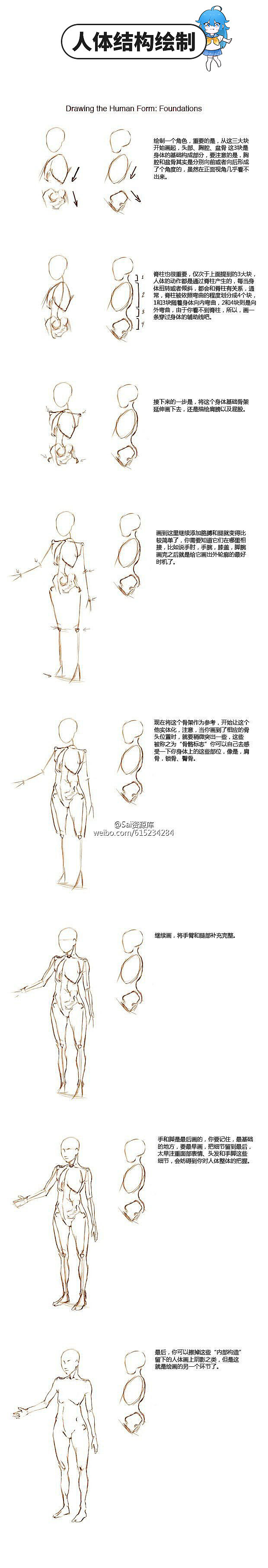 動(dòng)漫人體結(jié)構(gòu)繪制與參考素材 動(dòng)漫人體結(jié)構(gòu)繪制與參考素材