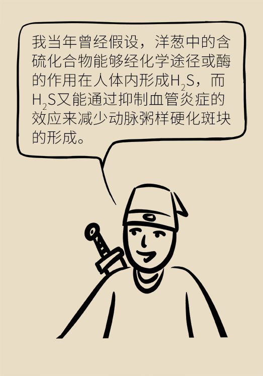 洋蔥可以預(yù)防動(dòng)脈硬化，是真的嗎？